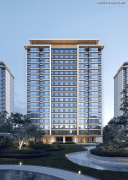 将成为西部发展的一大支点、下一个张江或紫竹